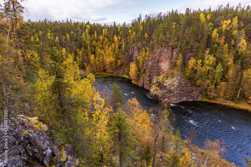 Fototapeta Naklejka Na Ścianę i Meble -  Beautiful river in the autumn forest, view from top, Oulanka national park, Finland