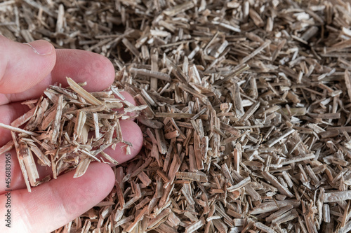 Hemp plant bed for rodents