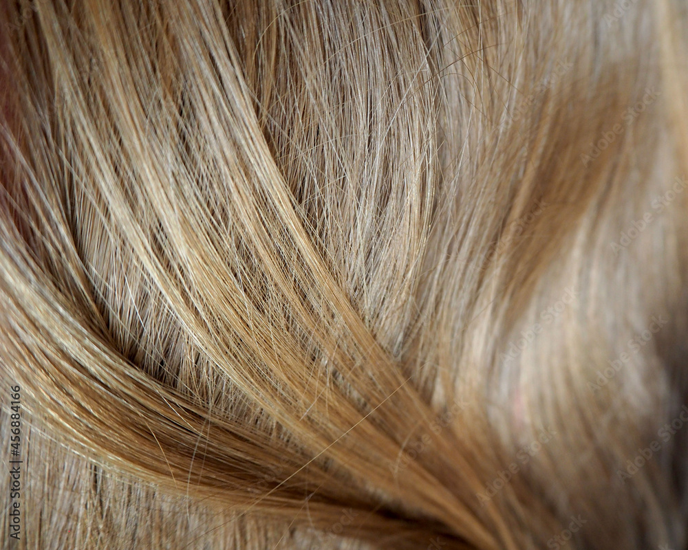 Fototapeta premium the texture of strands of straight natural light brown hair
