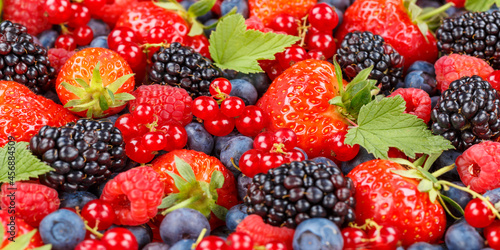 Fototapeta Naklejka Na Ścianę i Meble -  Berries fruits berry fruit strawberries strawberry blueberries blueberry panorama
