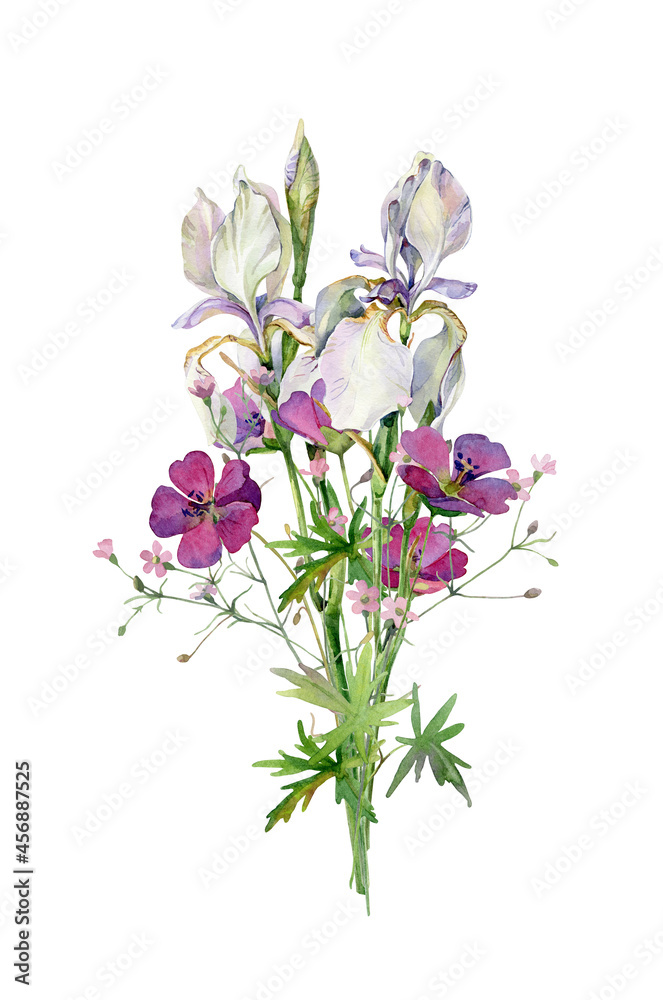 Watercolor white wild irises and red flowers