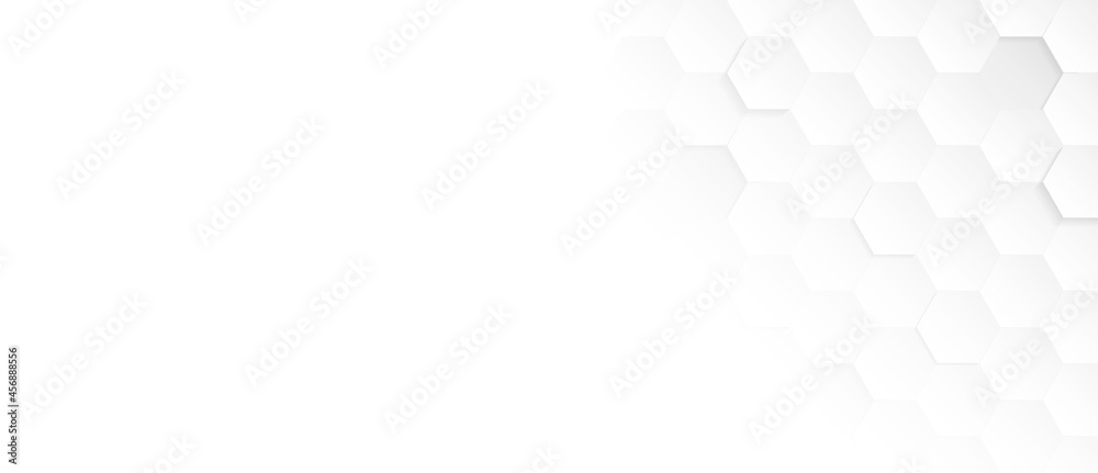 Abstract. Hexagon , honeycomb white Background ,light and shadow. copy space. Vector
