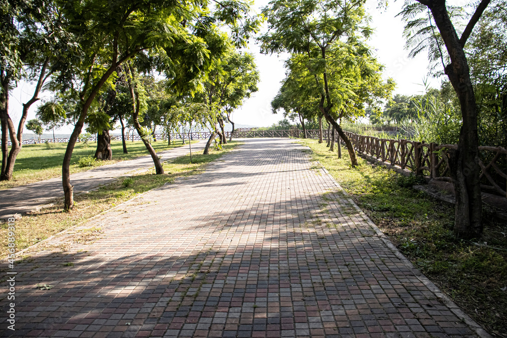footpath in the park|trees ,path,lake view park