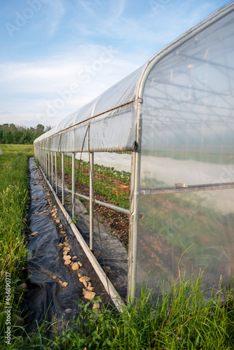 Vertical image of receeding greenhouse exterior in green grass and blue sky