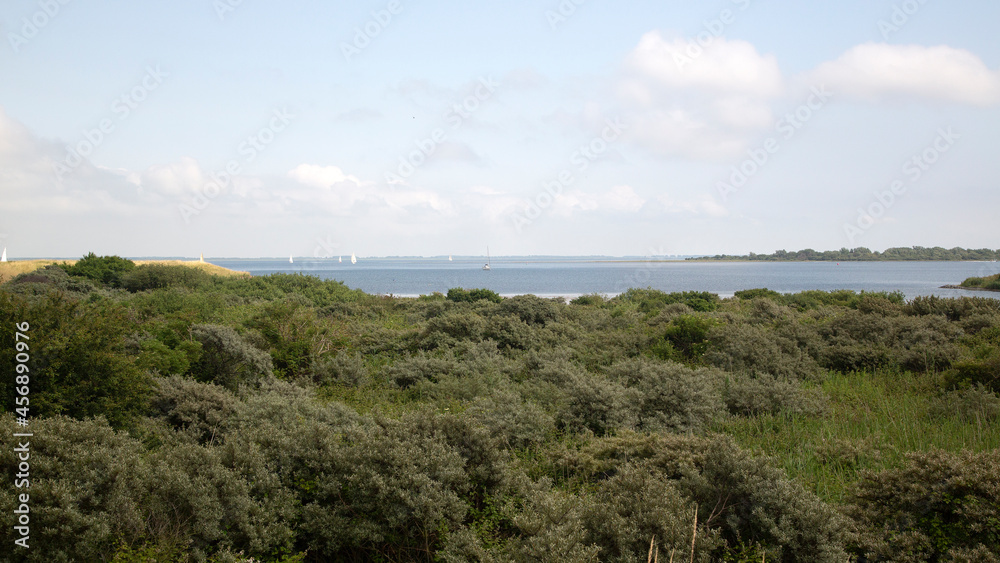 Nature reserve Preekhilpolder along Lake Grevelingen, South Holland, Netherlands