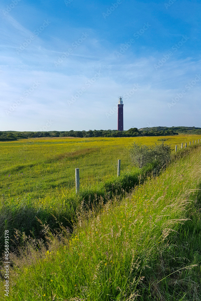 Dune valley with lighthouse of Ouddorp, Netherlands in background