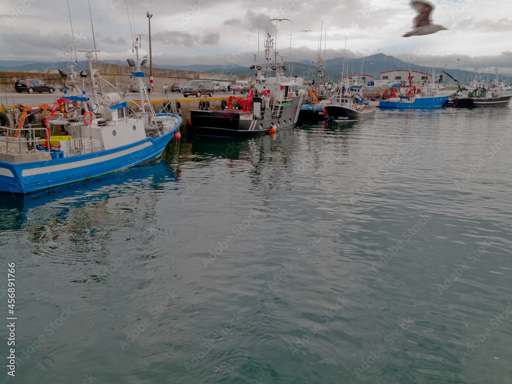 Pescado recien llegado al puerto de Portosín en la Ría de Muros, Galicia