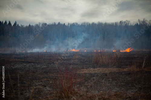 Smoke in the field. Smoke in the woods. A fire in nature. The grass is burning. It's an environmental problem.
