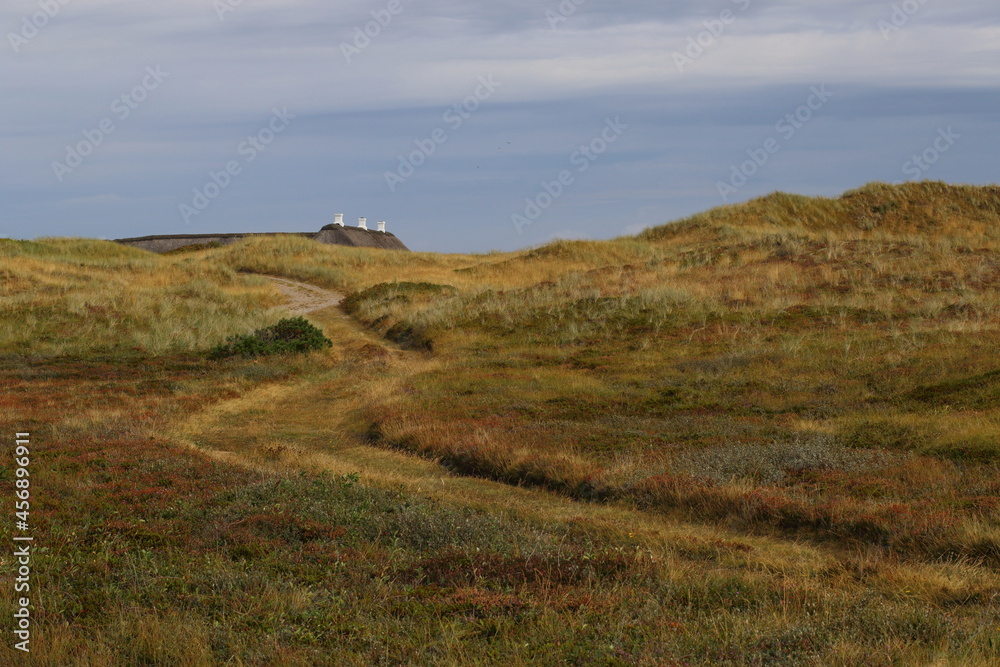 Obraz premium Landschaft in Dänemark