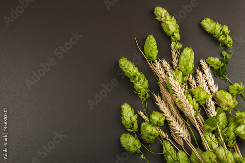 Wheat beer concept background. Cones of hops and wheat ears