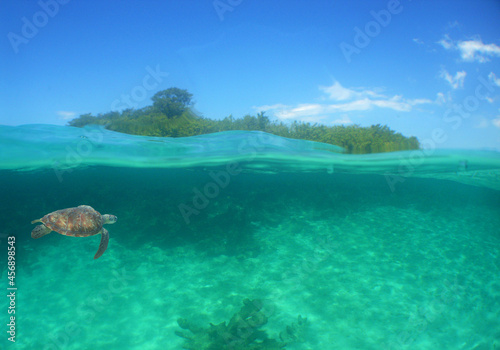 underwater paradise , island , Venezuela
