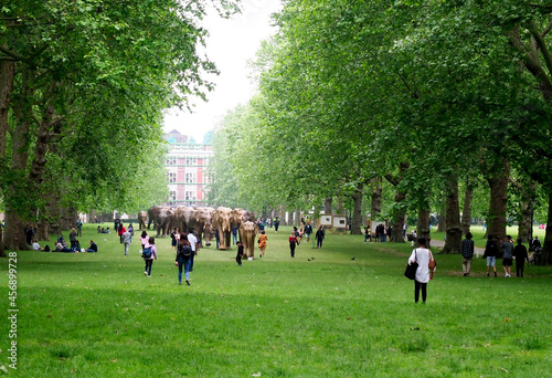A crowd of people in Green Park in London admire a herd of elephant sculptures