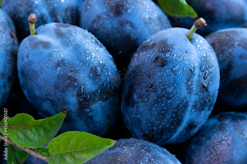Close up of blue plums