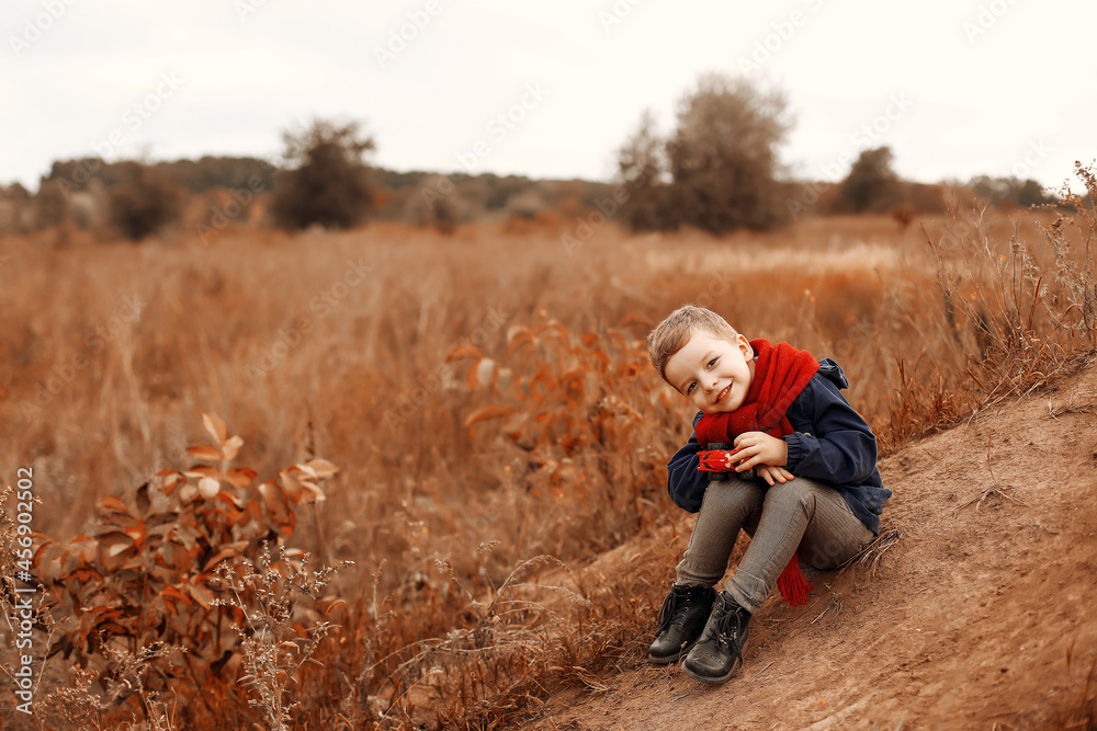 child in autumn forest, child in autumn leaves, autumn landscape, child in autumn park child in autumn forest, child in autumn leaves, autumn landscape, child in autumn park