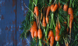 Freshly harvested organic carrots on dark blue background, flat lay, copy space