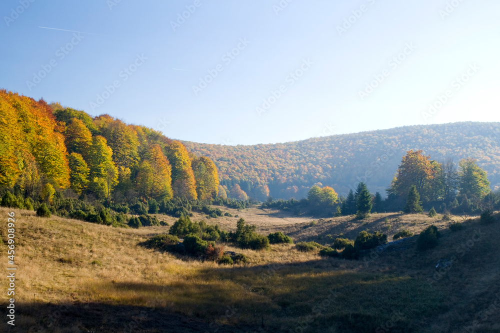 Autumn forest and field landscape in Hungary. Autumn forest and field landscape in Hungary.