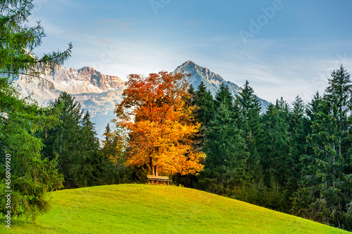 Landschaft bei Oberstdorf im Allgäu mit Blick auf die Allgäuer Hochalpen