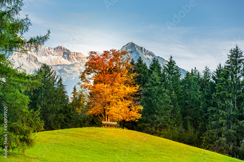 Landschaft bei Oberstdorf im Allgäu mit Blick auf die Allgäuer Hochalpen photo