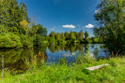Naturweiher im Allgäu mit Gras am Ufer
