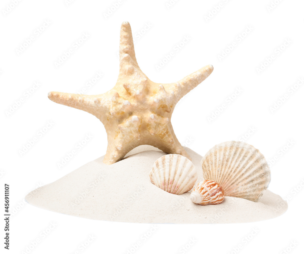 Beautiful sea star and seashells in sand on white background Beautiful sea star and seashells in sand on white background