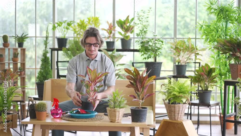 A man looked at the tree happily. A man enjoying his garden, a man gardening a tree in the house A man looked at the tree happily. A man enjoying his garden, a man gardening a tree in the house