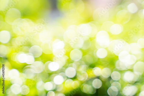 Bokeh leaf with sunlight, use for background.