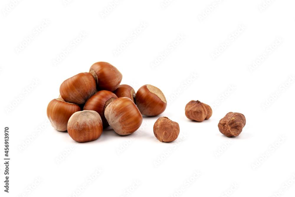 Group of hazelnuts, isolated on white background Group of hazelnuts, isolated on white background