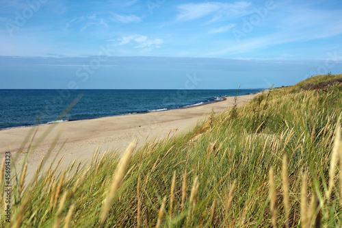 Baltic Sea. curonian spit  landscape beach