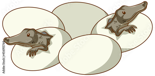 Alligators hatching from eggs