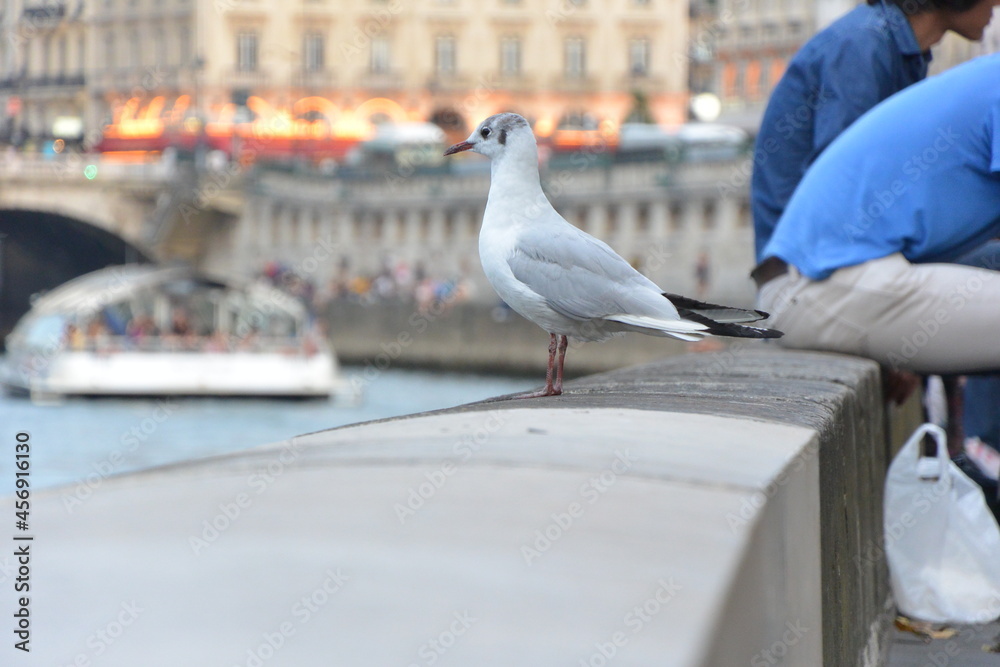 Obraz premium T. Paysages