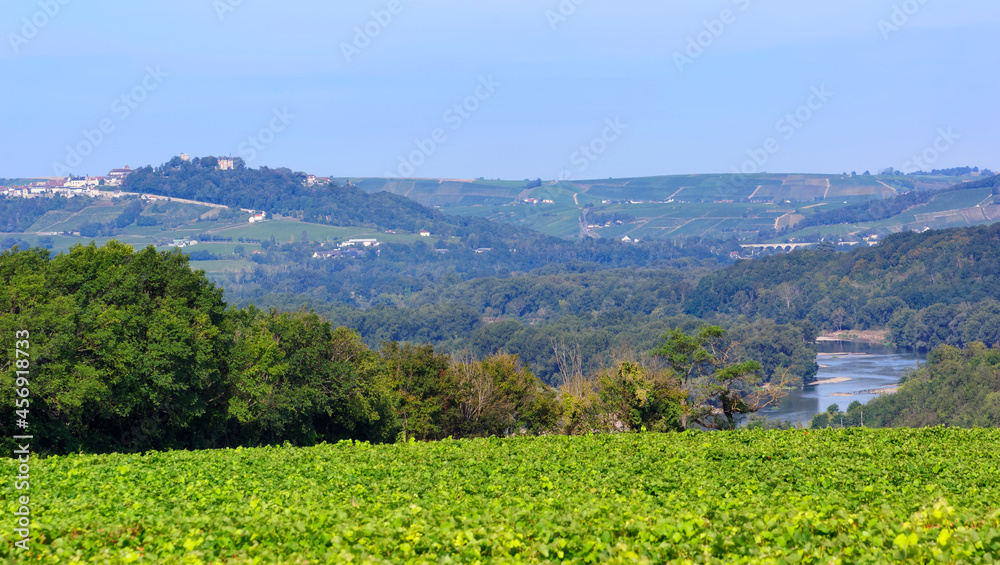 Pouilly vineyard and Sancerre hill in the Loire valley