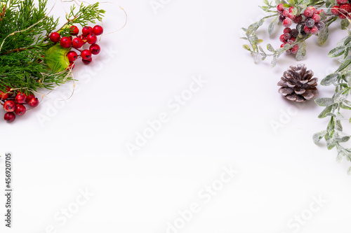 Composition of tree branches with pine cones and copy space on white background