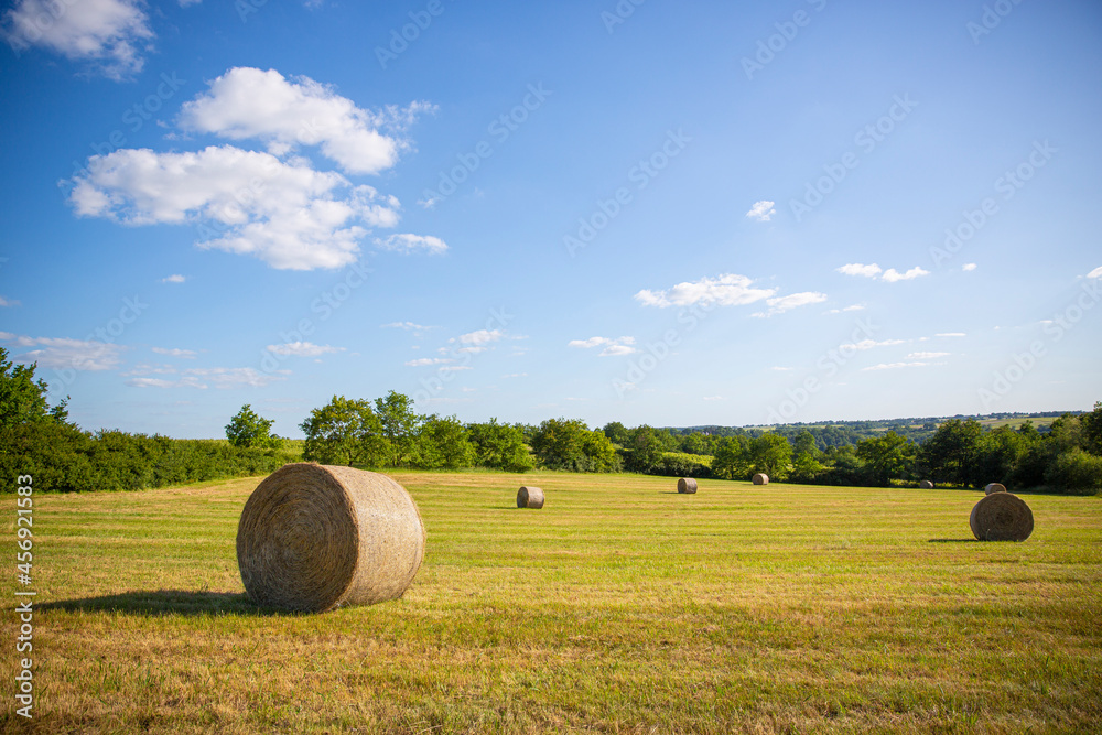 Paysage agricole en France, champ après la moisson du blé et meule de foin.