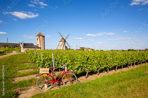 Moulins d'Ardenay en Anjou, paysage de vigne et vieux vélo rouge du viticulteur.