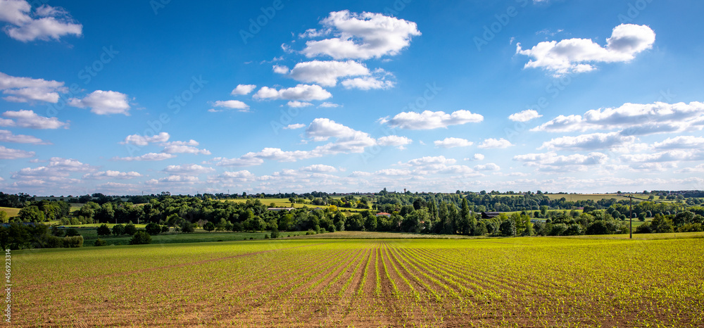 Paysage agricole, campagne et champ après la semence.