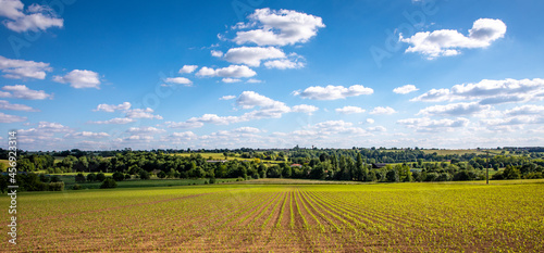 Paysage agricole, campagne et champ après la semence. © Thierry RYO