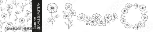 Set of different branches of cosmos flowers, seamless pattern and circle frame on white background.