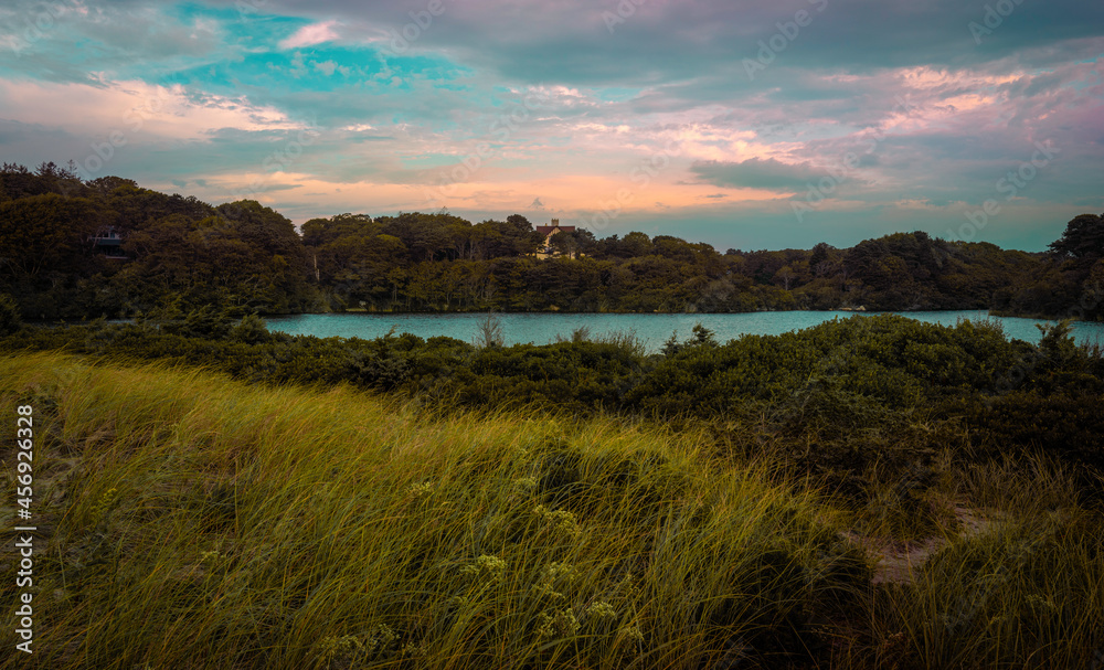 Tranquil dark landscape in the forest with a pond and grassy meadow at dawn on Cape Cod
