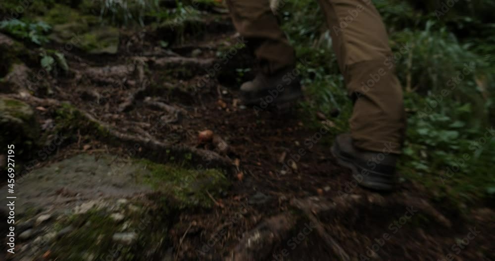 Hiker's feet walking in the mountain forest. Man walking in the woods trail. Feet in Hiking Boots Walking through the Mountain Forest. Walking through woodland. Low angle of a Young boy Hiker's feet walking in the mountain forest. Man walking in the woods trail. Feet in Hiking Boots Walking through the Mountain Forest. Walking through woodland. Low angle of a Young boy