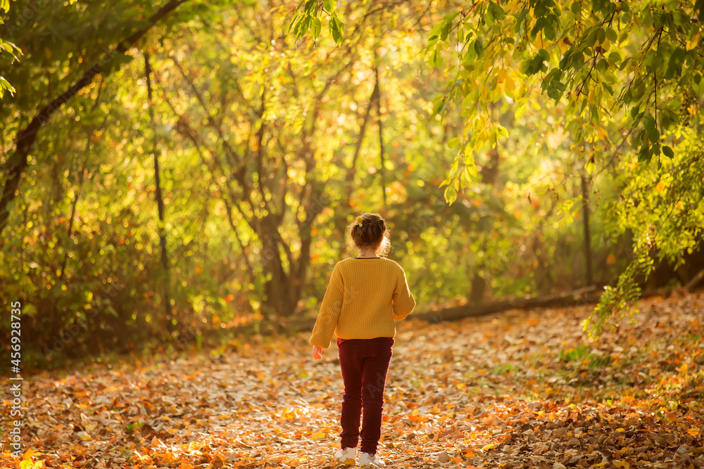 A girl walks in a beautiful autumn forest. A child enjoys nature in a park. A girl walks in a beautiful autumn forest. A child enjoys nature in a park.