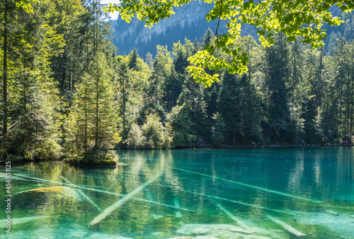 Fototapeta Naklejka Na Ścianę i Meble -  Blausee (Blue lake), Bernese Oberland, Switzerland. Nature landscape with crystal clear lake water.