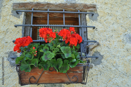 flowers in a window in typical huts 