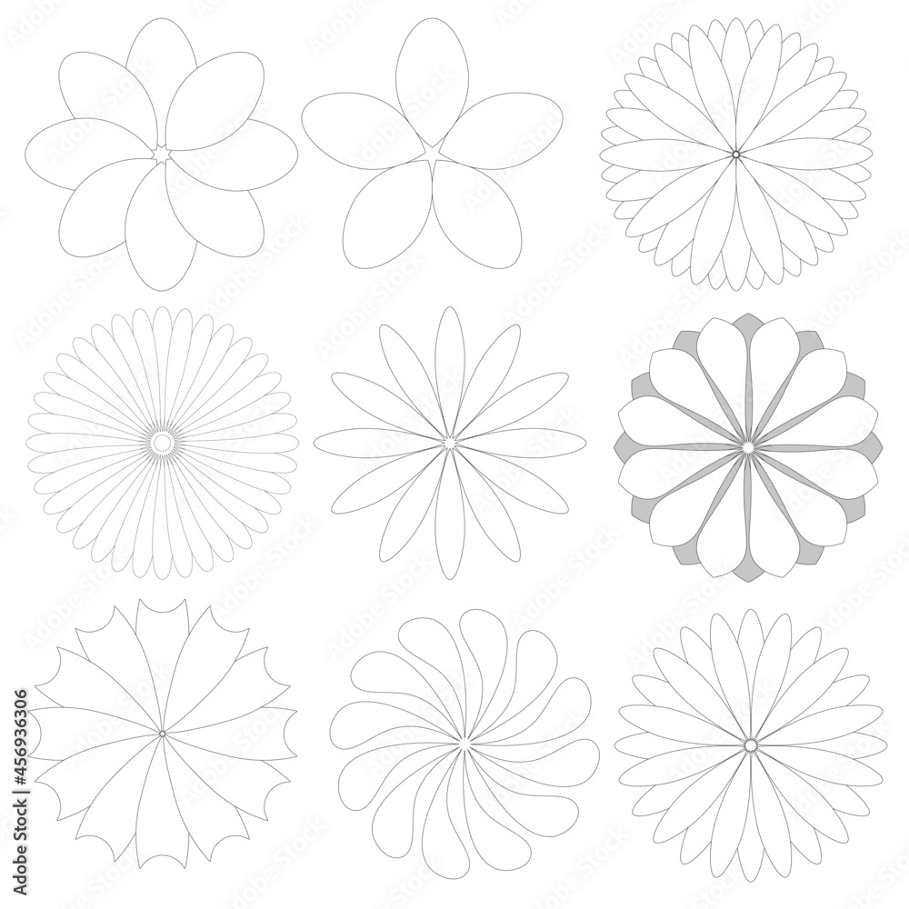 Obraz premium set of radial flowers, thin black lines on a white background, collection of vector design elements