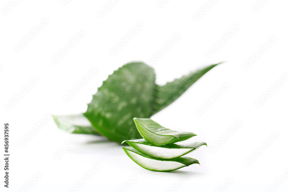 aloe véra sur fond blanc, aloès plante grasse, cosmétique naturel Stock ...