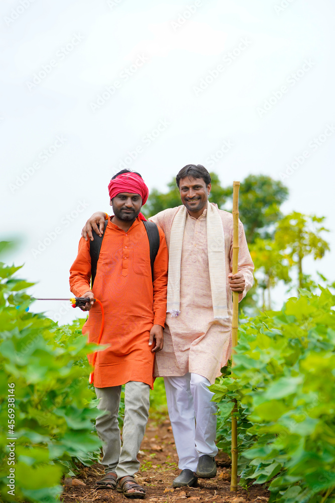 Two indian farmers working and discuss at green cotton field.