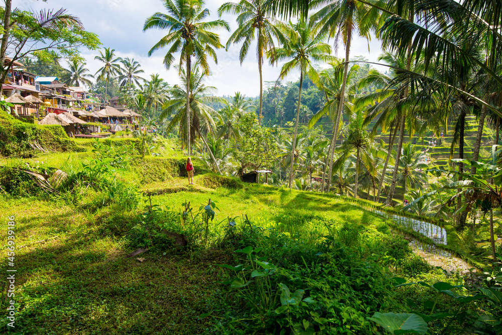 Tegalalang Rice Terraces in Ubud, Bali, Indonesia
