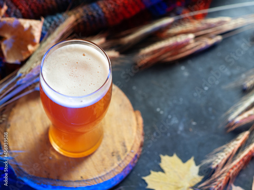 A glass of craft beer pumpkin ale top view, ears of rye, knitted scarf, autumn decor. Copy space, oktoberfest or Thanksgiving traditional beer