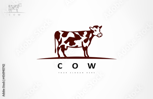 Cow logo vector. Animal design.