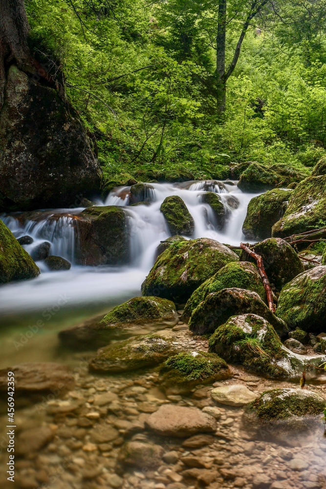 Obraz premium Kleiner Wasserfall im Wald