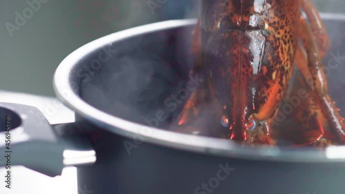 Pick up boiled Lobster from hot pot slow motion